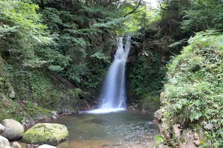 ���g�̉���